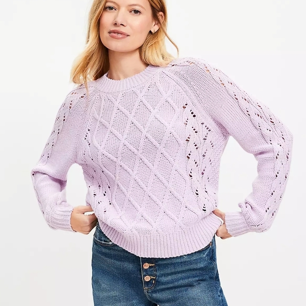 Ann Taylor LOFT Knit Sweaters Bundle Of 2